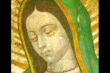 The Amazing and Miraculous Image of Our Lady of Guadalupe (full length) The Amazing and Miraculous Image of Our Lady of Guadalupe (full length)