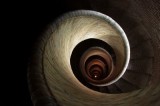 Down The Rabbit Hole Down The Rabbit Hole