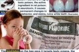 FLUORIDEGA​TE An American Tragedy