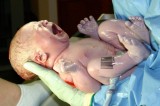 23andMe’s ‘build-a-baby’ patent criticised 23andMe’s ‘build-a-baby’ patent criticised