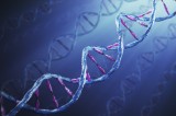 DNA Tracking Technology Identifies Products and People