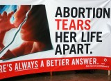 How the Council of Europe Is Imposing Abortion on Ireland and Poland